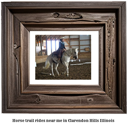 horse trail rides near me in Clarendon Hills, Illinois